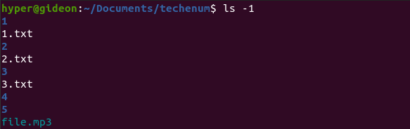 ls -1 command output