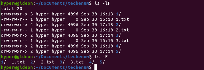 ls -F command output
