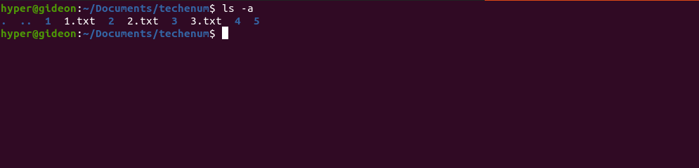 ls -a command output
