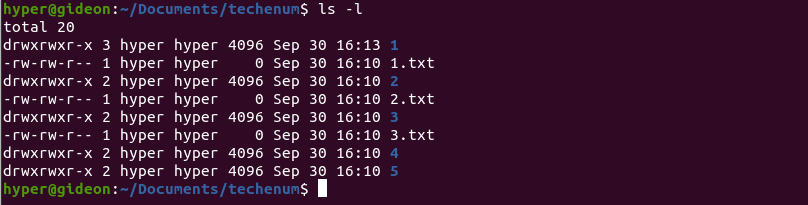 ls -l command output