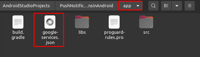 adding firebase-service.json file to project